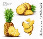 3d realistic isolated vector pineapple set, whole pineapple with leaves, falling pineapple slices and pineapple slices and a half