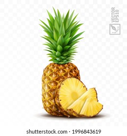 3d realistic isolated vector pineapple set, whole pineapple with leaves, pineapple slices and pieces