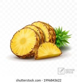 3d realistic isolated vector pineapple set, half pineapple with leaves, slices and a half