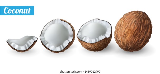 3D realistic isolated vector set of whole coconut.Coconut fresh whole. vector set of elements for your design. vector illustration