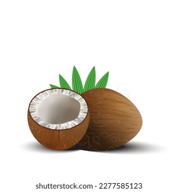 3D realistic isolated vector set of whole coconut, coconut halves and palm leaves.