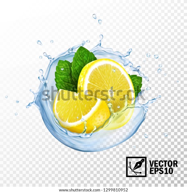 3d realistic isolated\
vector slices lemon and fresh mint leaves in a splash of water or\
tea with drops