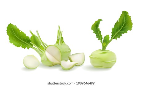 3d realistic Kohlrabi, German turnip or turnip cabbage big vector illustration set Raw bulbs with fresh leaves isolated on white background. biennial vegetable low stout cultivar of wild cabbage. root