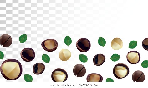 3D realistic macadamia nut isolated on transparent background. Shelled and unshelled Macadamia nuts with green leaf. Organic macadamia. Vector illustration
