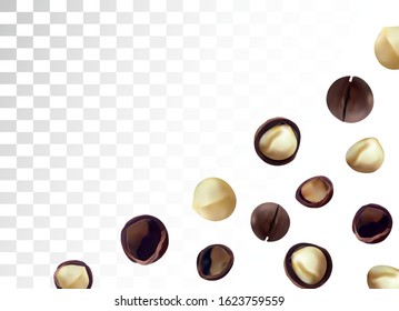 3D realistic macadamia nut isolated on transparent background. Shelled and unshelled Macadamia nuts with green leaf. Organic macadamia. Vector illustration
