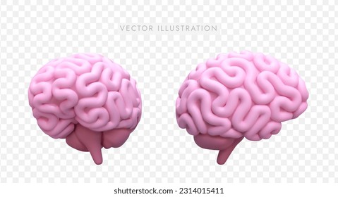 3d realistic model of brain in different positions. Emblem for medical school. Brain examinations concept. Colorful vector illustration in cartoon style