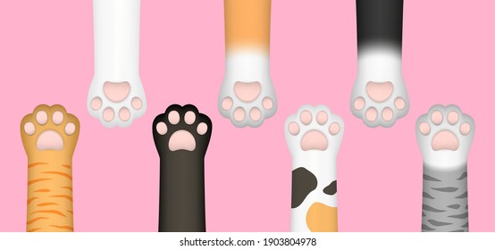 3D realistic multi-colored cat paws, legs, dog paws, kitten footprint set isolated on pink background. Vector illustration for domestic animal, pet concept.