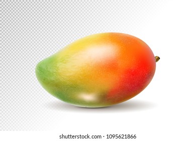3D Realistic Orange Red Green Mango On Transparent Background, Mesh Vector Illustration.