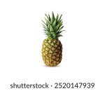 3D Realistic Pineapple with Whole Pineapple Leaves. Realistic 3D Pineapple with Whole Leaves – Tropical Fruit Vector Illustration for Food and Grocery Designs