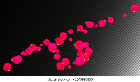 3D Realistic Pink Roses Petals Falling on Transparent Background. Vector Design Template with Flowers Elements for Greeting Cards, Banners, Wedding Invitations, Spa, Cosmetics and Wellness Abstract Bg