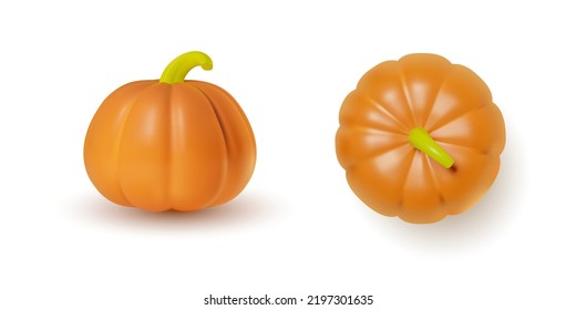 3D realistic pumpkin on a front and a top view. Illustration of an orange vegetable. Isolated vector clipart with a gourd on a white background