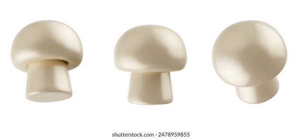 3d realistic raw champignon mushroom isolated on white background. Fresh fungus plant various view. Vector illustration.