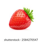 3D realistic raw ripe strawberry fruit or berry for fresh juice drink, vector object. Realistic strawberry in macro closeup for natural food package of sweet berry marmalade or confection dessert