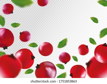 Berry de curry rojo realista 3D con hoja verde. Berry de curry rojo fresco en movimiento. Fondo de la corriente roja. Cayendo berry. Ilustración vectorial. 