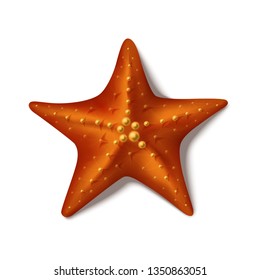 3d realistic red starfish icon. Vector illustration with sea star isolated on white background.