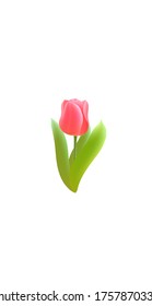 3D realistic romantic tulip flower social media cover. Highlights stories isolated white background template. Valentine love dating gift concept vector illustration