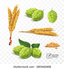 3d realistic set for beer, ears and grains of wheat, hop cones