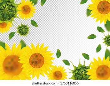 3D realistic sunflower with green leaf. Yellow sunflower in motion. Beautiful sunflower background. Falling sunflower. Vector illustration svg