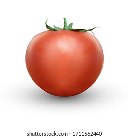 3d realistic Tomato on white background.  Realistic fresh juicy tomato with green twig on white background. Vector illustration.