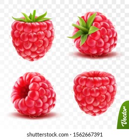 3d realistic transparent isolated vector set, whole and slice of raspberry with green tail