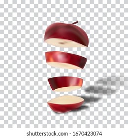 3d realistic transparent isolated vector