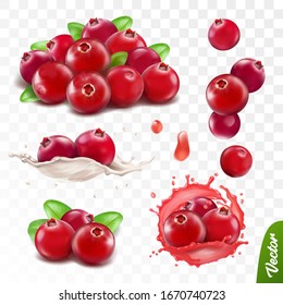 3d realistic transparent isolated vector set, cranberry with leaves, cranberry in a splash of juice with drops, cranberries in a splash of milk or yogurt