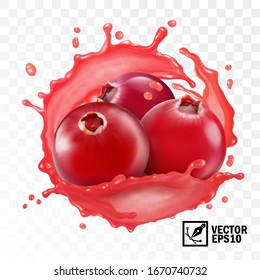 3d realistic transparent isolated vector, cranberry in a splash of juice with drops, edible handmade mesh