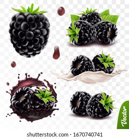 3d realistic transparent isolated vector set, whole and slice of blackberry, blackberry in a splash of juice with drops, blackberry in a splash of milk or yogurt