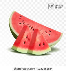 3d realistic transparent isolated vector, half and slices of juicy watermelon