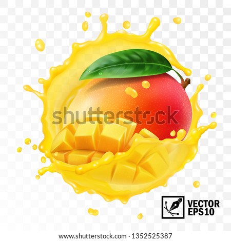 3d realistic transparent isolated vector, whole and pieces mango fruit with leaf in a splash of juice with drops