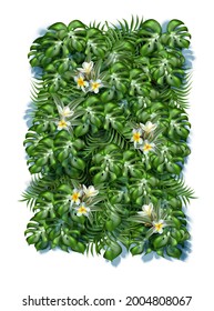 3d realistic tropical leaves background with frangipani flowers.