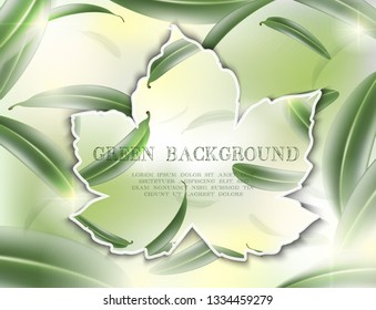 3d realistic vector background, green tea leaves in motion in sunny blurred light for you ad, web, banner or packaging.