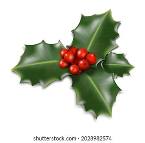 3d realistic vector Christmas mistletoe isolated on white background. 