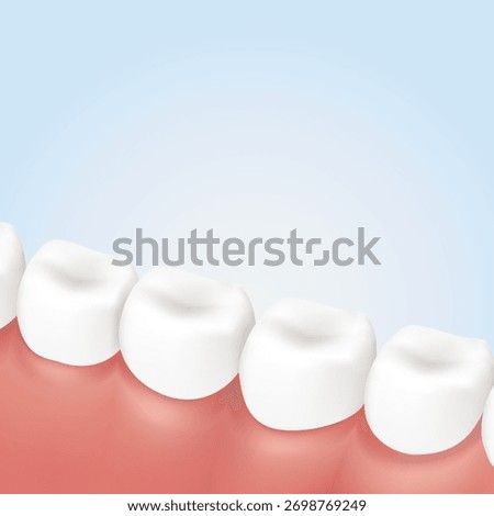 3D realistic vector close-up of healthy human molar teeth and gums. Shows the chewing surface (occlusal) and gumline. Ideal for dental clinic infographics or hygiene concepts.