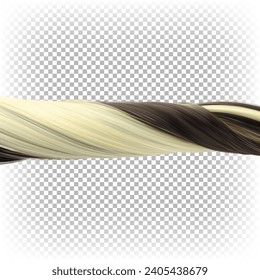 3d realistic vector female curled hair in light and dark dyed colors. Strong healthy shiny thick human hair.