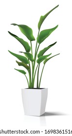 3d realistic vector floor house green plant. Isolated on white illustration icon in white pot..