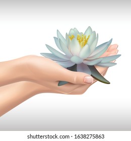 3d realistic vector hands holding water Lilly or lotus. Isolated icon on white background.