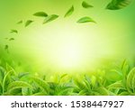 3d realistic vector horizontal banner, nature, tea plantation, green tea garden background with flying leaves  for your design, ads