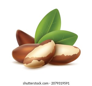 3d realistic vector icon. Brazilian nuts with leaves for brand labels and advertisemnt.