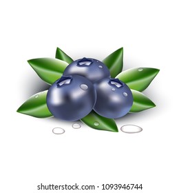 3D realistic vector icon. Fresh berries. Isolated blueberries.