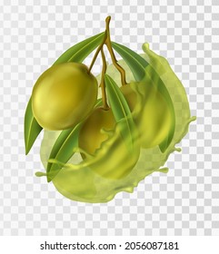 3d realistic vector icon. Green olives branch. Olive oil splash.