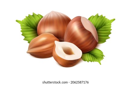 3d realistic vector icon. Hazelnut peeled,  chopped in half and green hazel leaves. Isolated on white background.