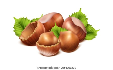 3d realistic vector icon. Hazelnut icon, design element. shelled, cut in half nuts. 