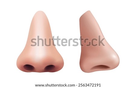 3d realistic vector icon  Hillustration. Human nose and profile. Man anatomy, body parts, respiratory elements.