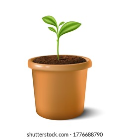 Icono vectorial 3d realista de la pequeña planta en la olla de arcilla. Aislado sobre fondo blanco. 
