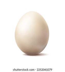 Ilustración de iconos vectoriales realistas 3d. Huevo de pollo orgánico entero blanco. Aislado sobre fondo blanco.