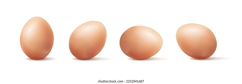 3d realistic vector icon illustration. Organic brown color eggs in different positions.