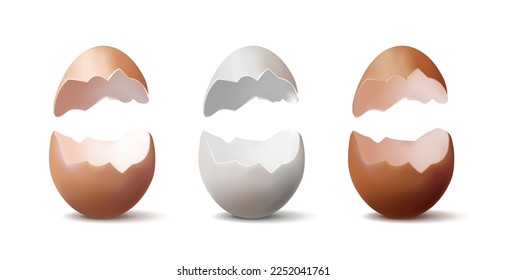 3d realistic vector icon illustration. Set of brocken eggs in white, light brown and brown color.