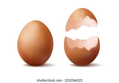 3d realistic vector icon illustration. Whole brown egg and half broken egg.