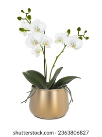3d realistic vector icon illustration Orchid flower in the golden metalic pot Isolated on white background